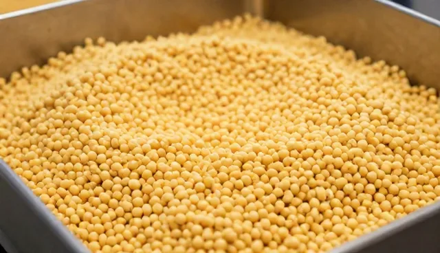 豆制品加工要点说明适用条件及选择依据